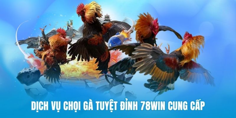 Các loại cược cơ bản của trận đấu