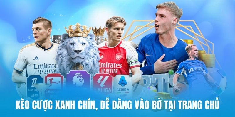 Hiểu cách ra kèo cá cược của nền tảng